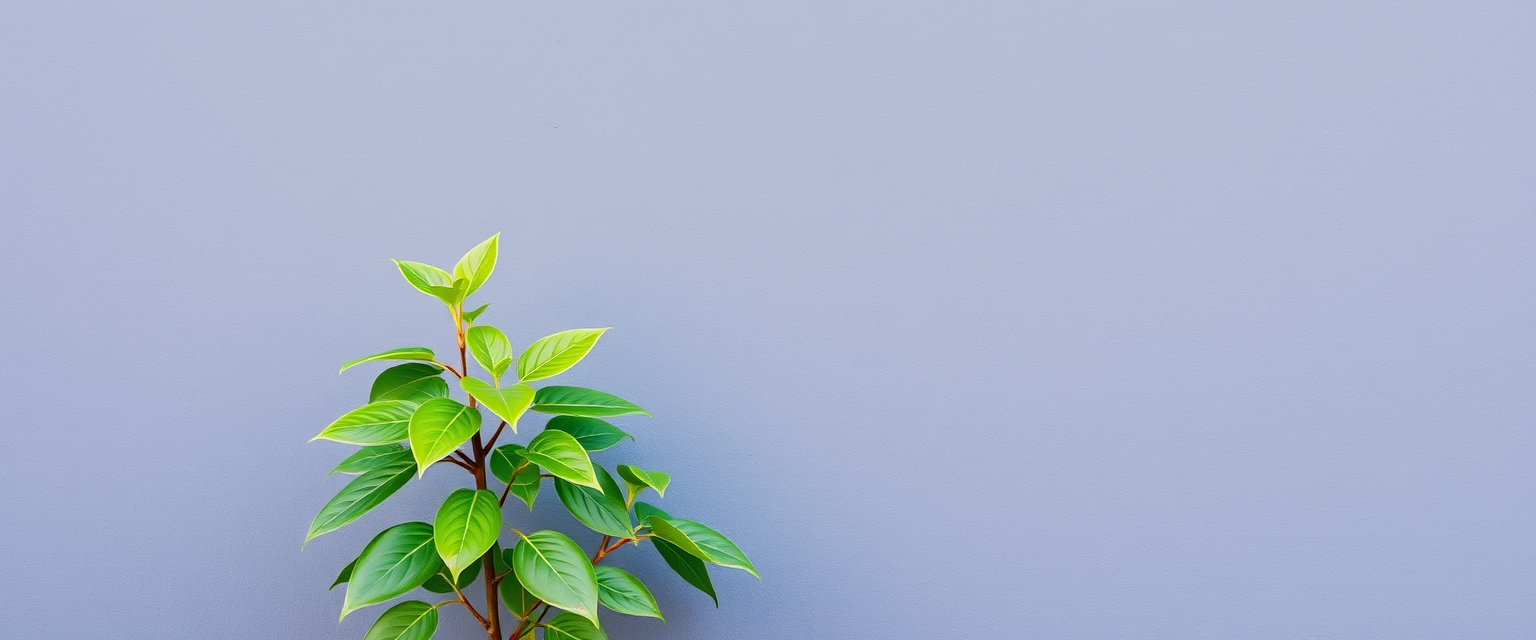 Green Plant Against a Gray Wall