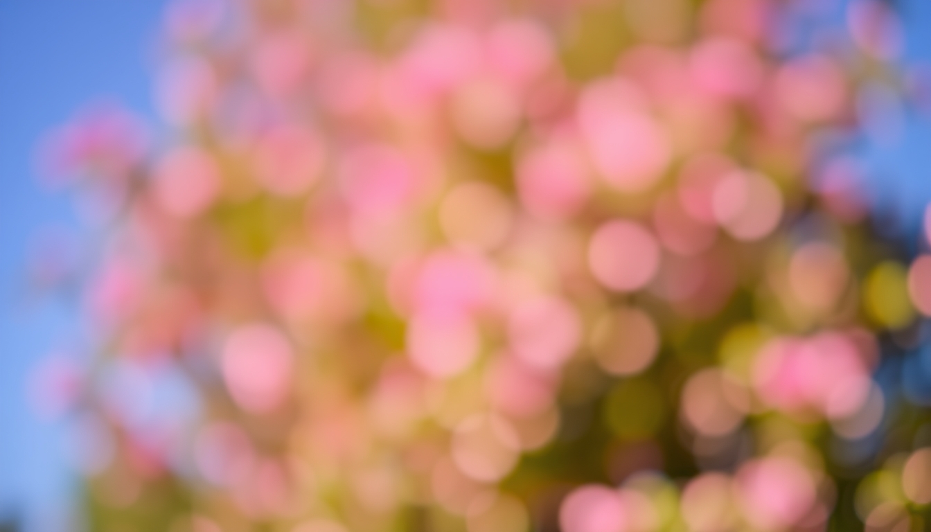 Blurry pink bokeh backdrop - Image