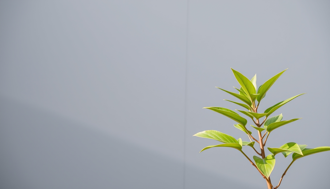 Green Plant Against a Gray Wall