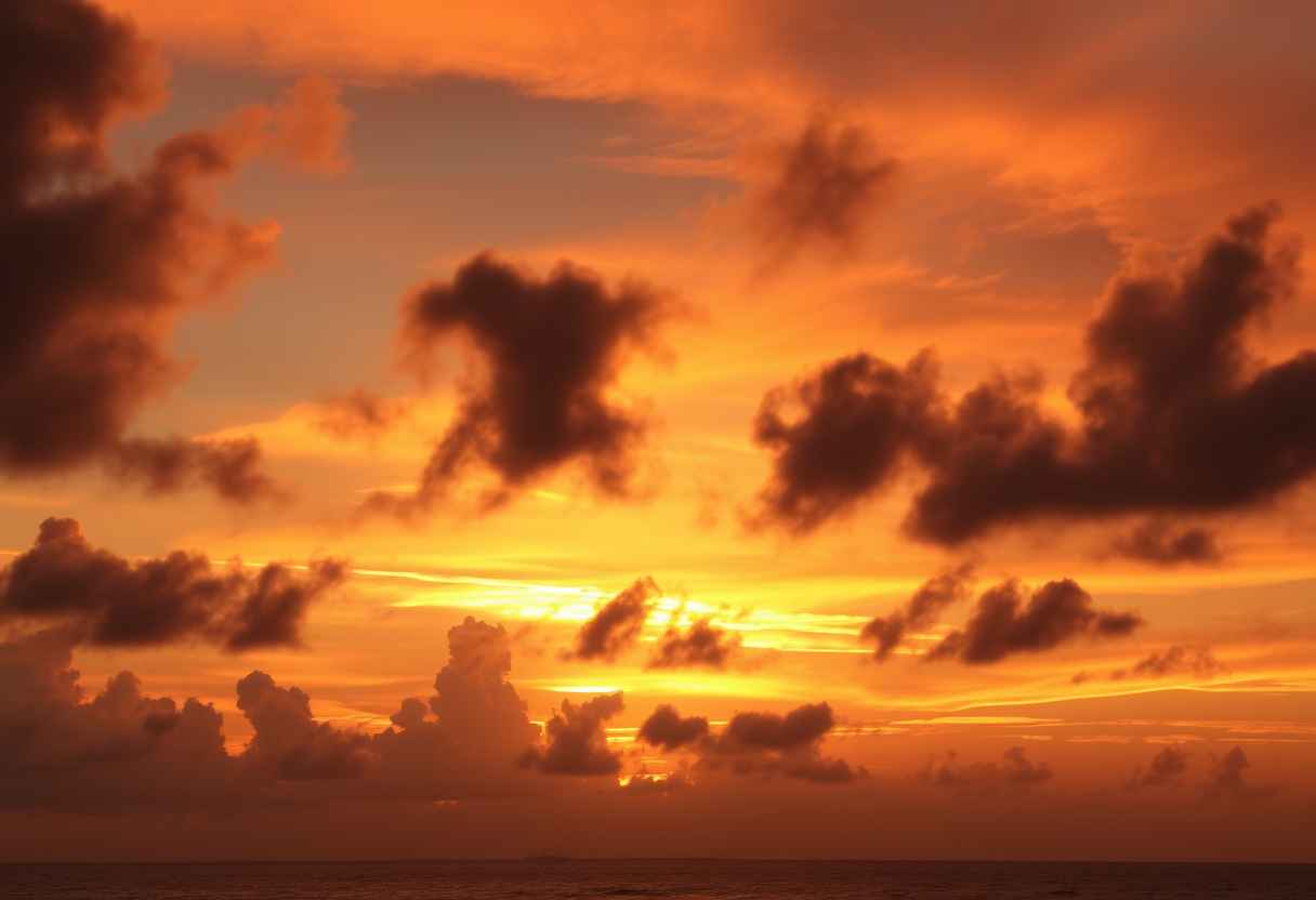 Dramatic, fiery sunset, clouds, silhouettes, high quality, photorealistic, evening sky, reflection, serene, seashells. - Image